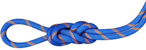 Mammut 9.0 Alpine Sender Dry Rope - Dry Standard - Ice/Sunrise - 50 m