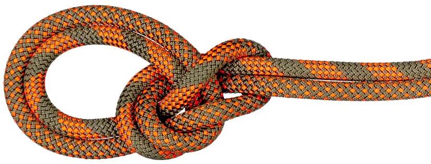 Mammut 9.5 Crag Dry Rope - Dry Duodess - Boa/Safety Orange - 80 m Wir ...