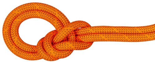 Mammut 9.8 Crag Dry Rope - Dry Standard - Safety Orange/Boa - 80 m