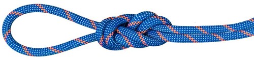 Mammut 7.5 Alpine Sender Dry Rope - Dry Standard - Blue/Safety Orange - 50 m