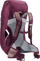 Deuter AC Lite 28 SL - Ash Rose/Cassis