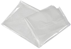 Bo-Camp Bodenplane - LPDE - Transparent - 3x4 m