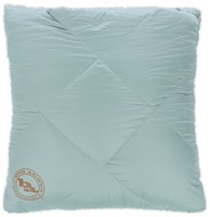 Big Agnes Camp Quillow