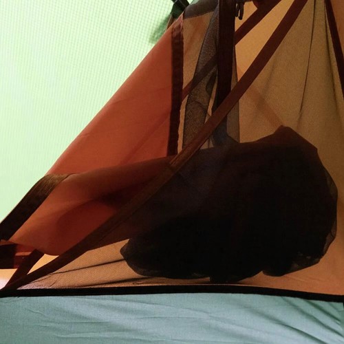 Vango Exedra 300