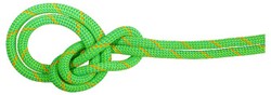 Mammut 9.5 Crag Dry Rope - Neon Green/Ocean