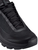 Arc'teryx Vertex Alpine GTX M - Black/Black