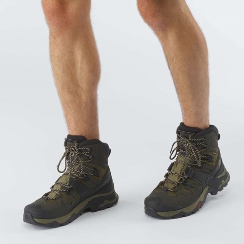 Salomon Quest 4 GTX - Olive Night/Peat/Safari