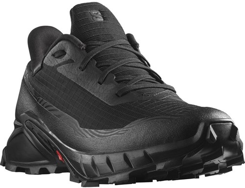 Salomon Alphacross 5 GTX - Black/Black/Ebony