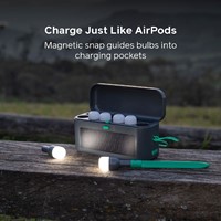 Biolite Site Lights