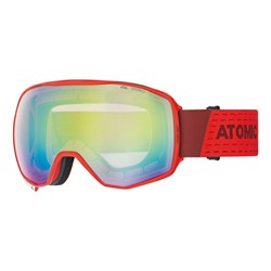 Ski goggles