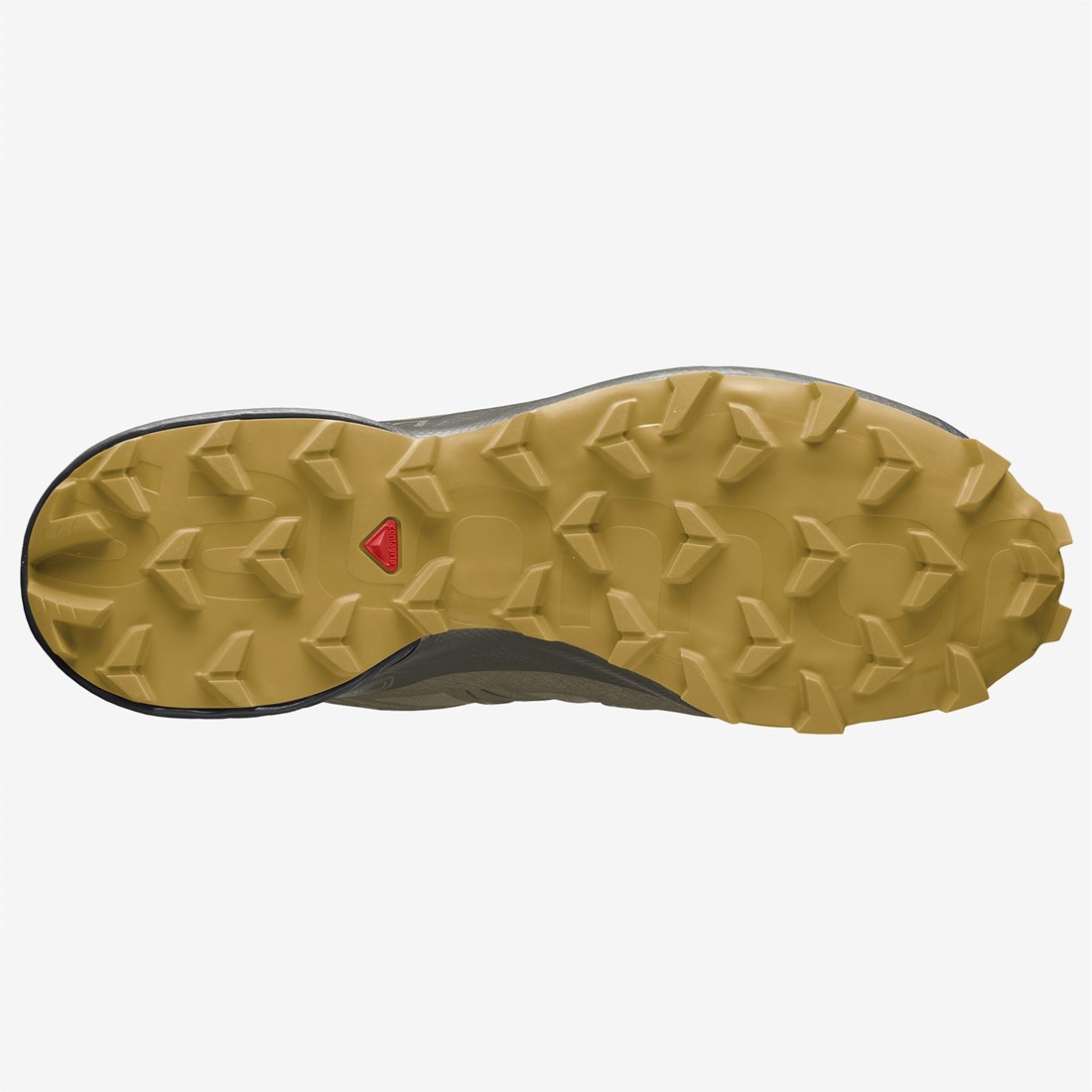 salomon speedcross 1