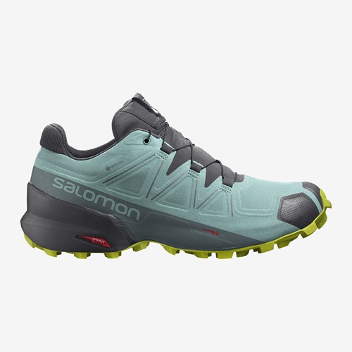 salomon speedcross 41