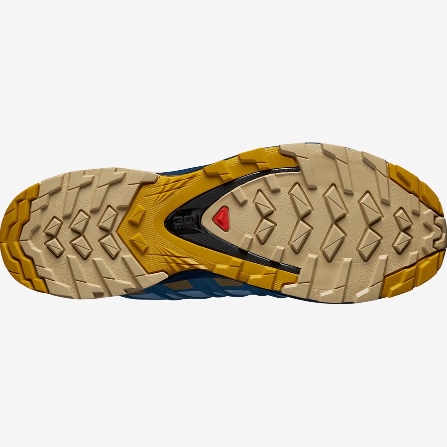 Salomon xa pro 37 Clearance