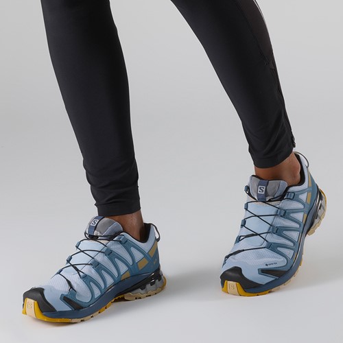Salomon xa pro 3d v8 gtx femme